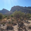 arizona from kells camera - IMG_3167